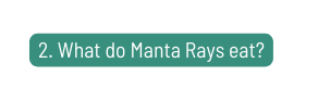 2 What do Manta Rays eat