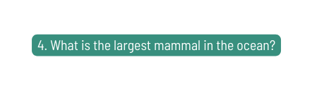 4 What is the largest mammal in the ocean