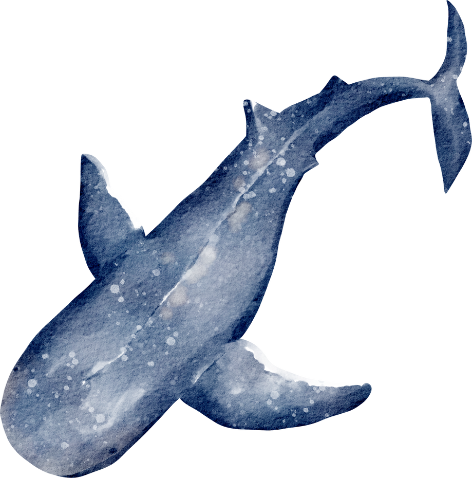 watercolor whale