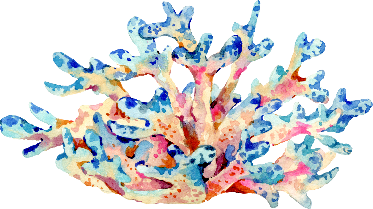 Watercolor colorful tropical coral